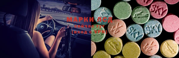 дмт Лабытнанги