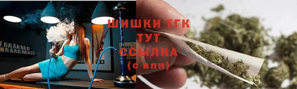 дмт Лабытнанги