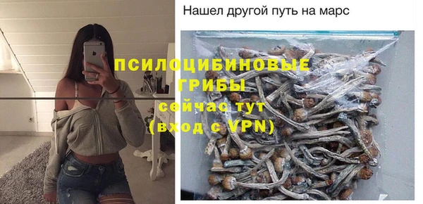 герыч Лагань