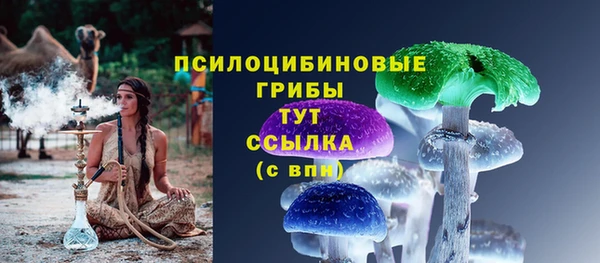 мдпв Кулебаки