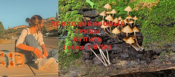 дмт Лабытнанги