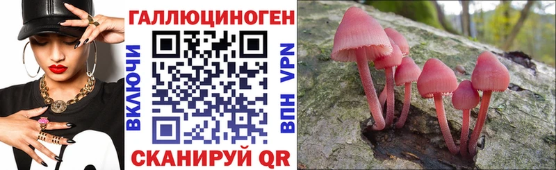 купить наркотики сайты  Куйбышев  Псилоцибиновые грибы Cubensis 